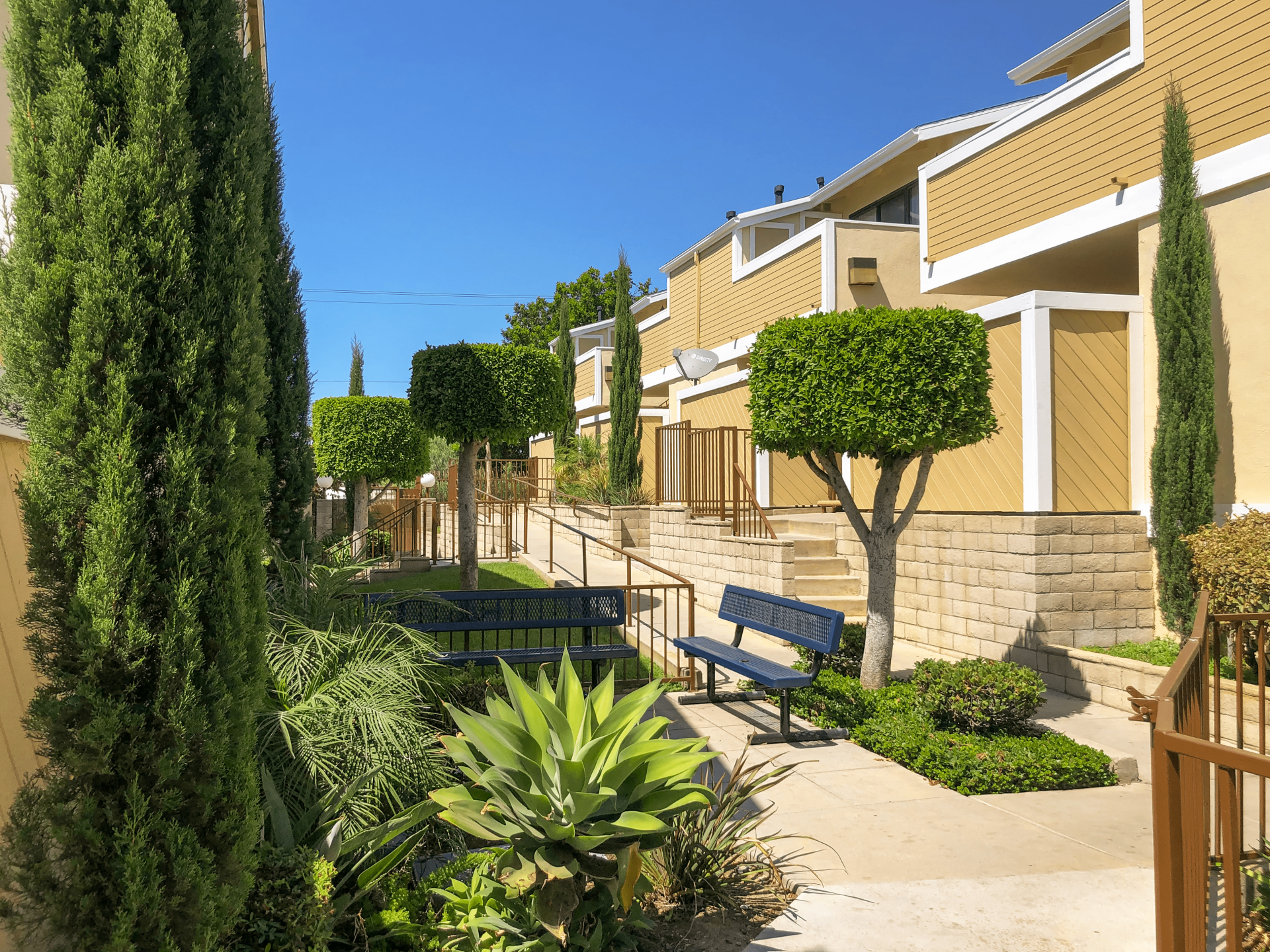 Ladera Vista
