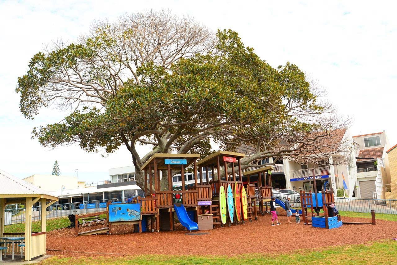 Playground | Brisbane, QLD | The Tree Doctor