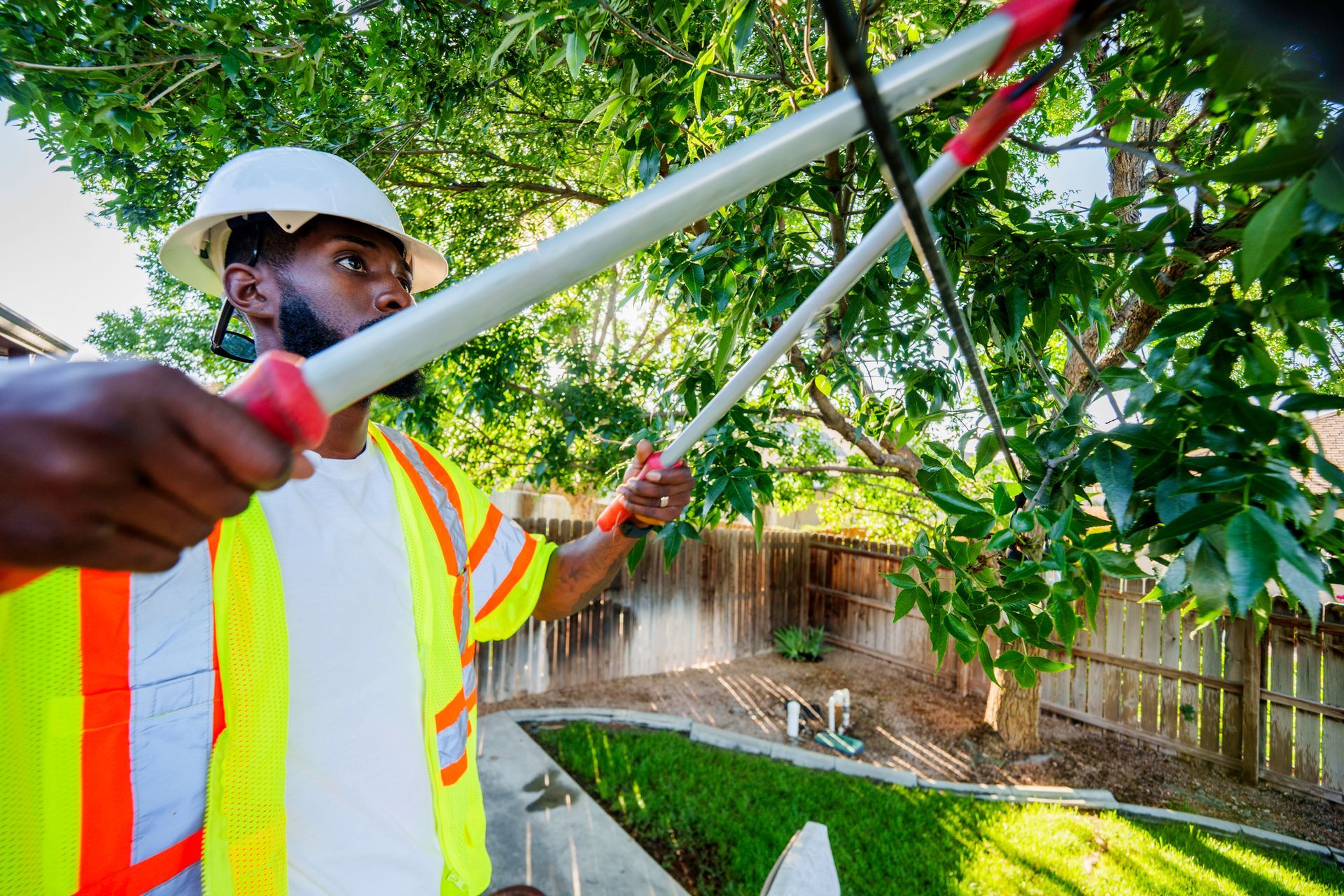 A worker in safety gear using a pole saw to trim tree branches in a residential backyard A worker in safety gear using a pole saw to trim tree branches in a residential backyard