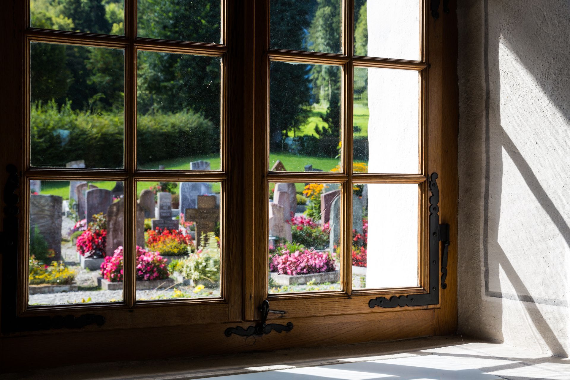 Sunlit window overlooking a garden with pink flowers and greenery