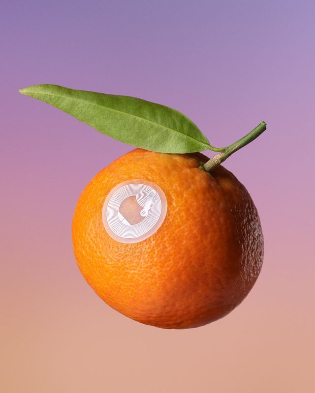 Orange fruit with a bandage, green leaf, against a gradient pink and purple background. Food Stylist Nadine Page.