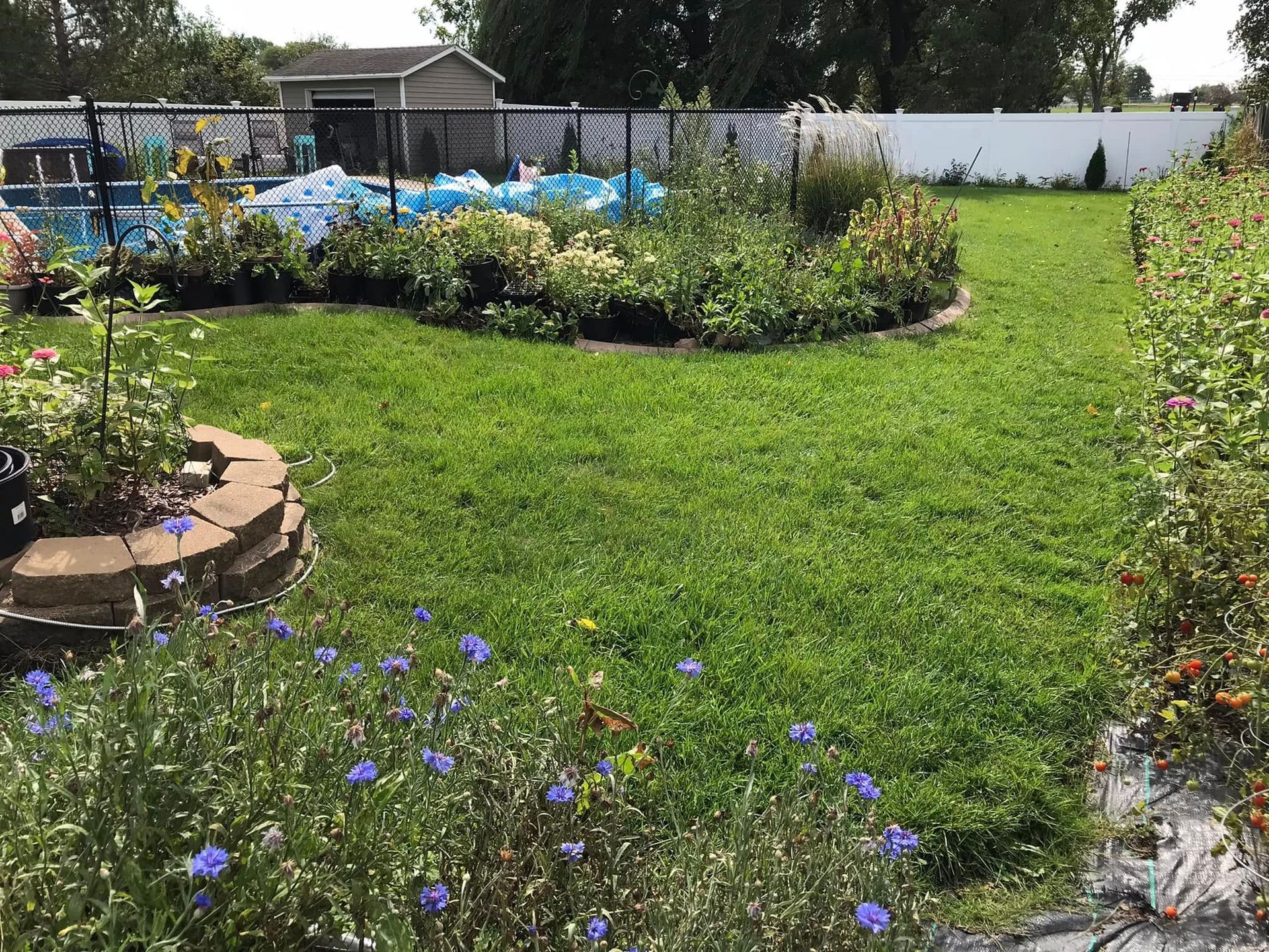 lawn services 19