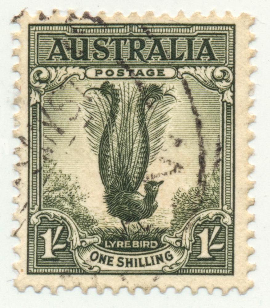 A Postage Stamp From Australia With A Lyrebird On It — John Platts Stamps & Coins In Mackay, QLD