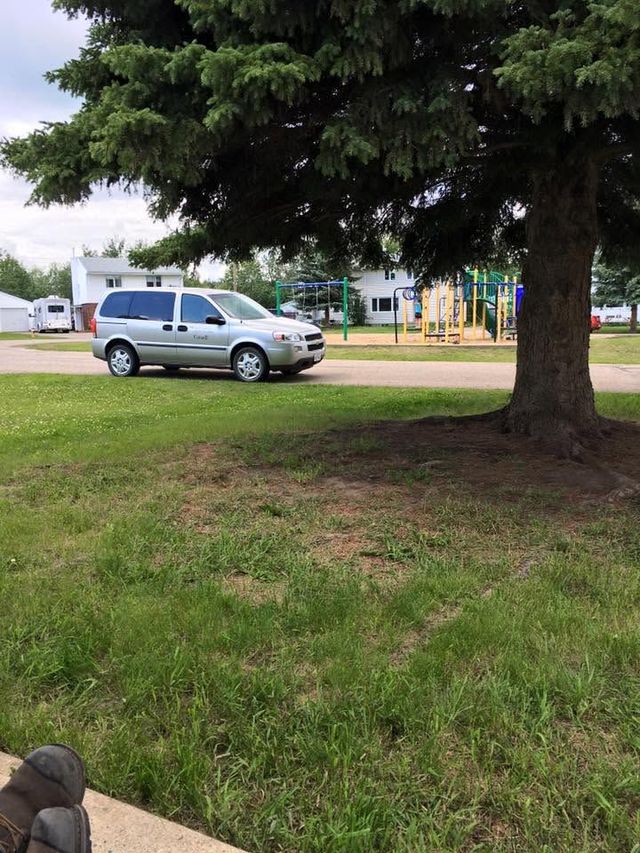 Silver minivan parked on grass near a large tree in a park or playground.