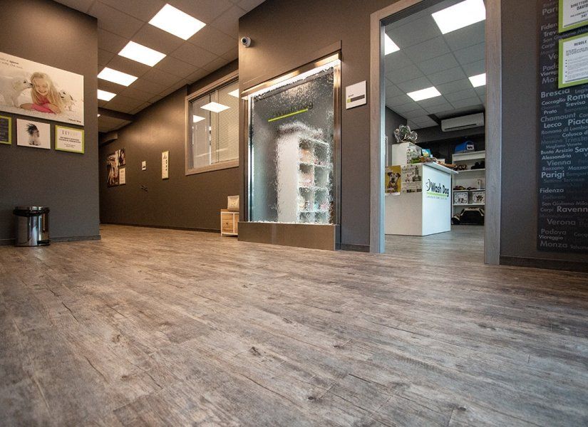 pavimento linoleum