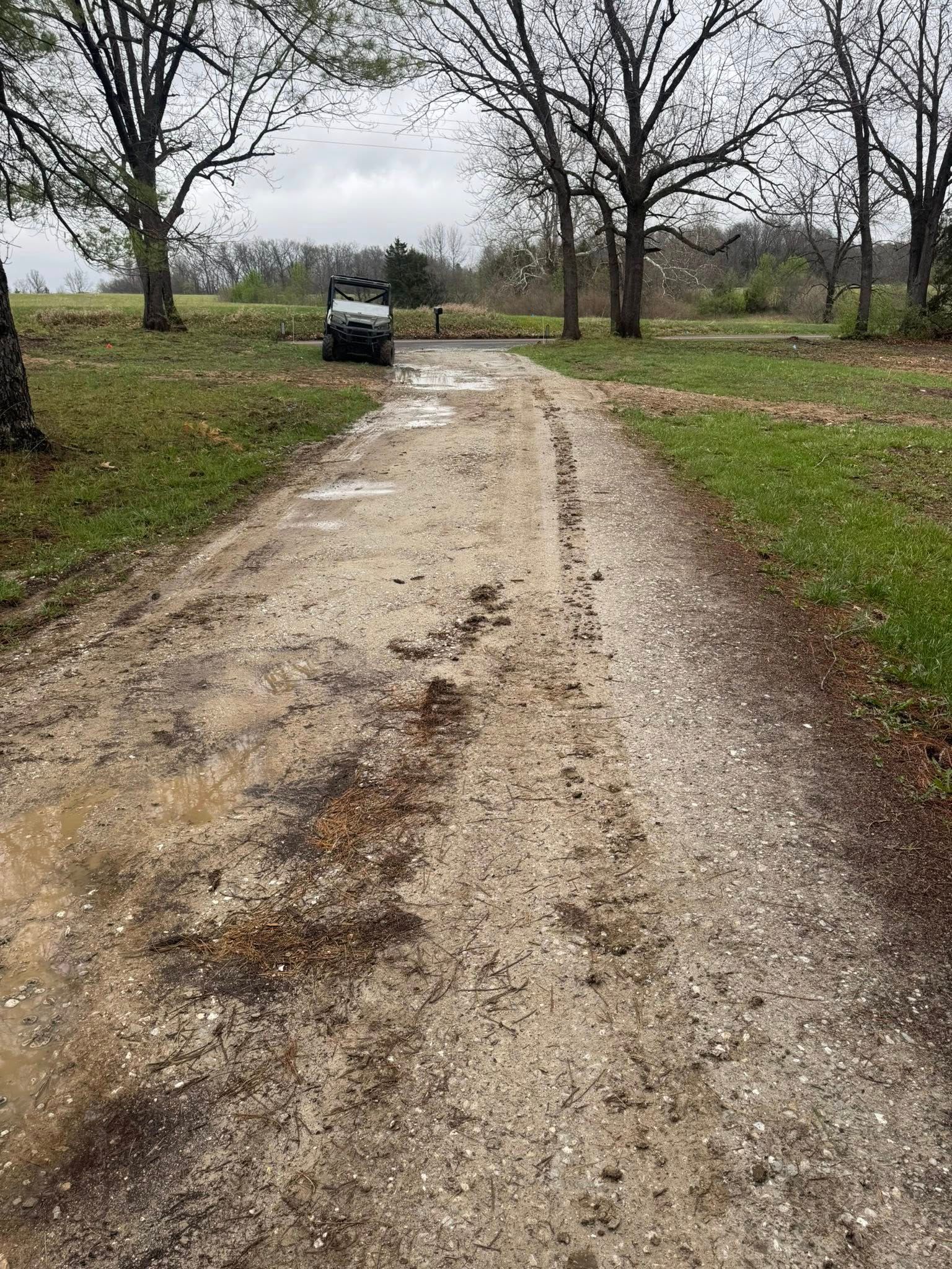 Mud road through a grassy orchard with leafless trees and a small vehicle in the distance