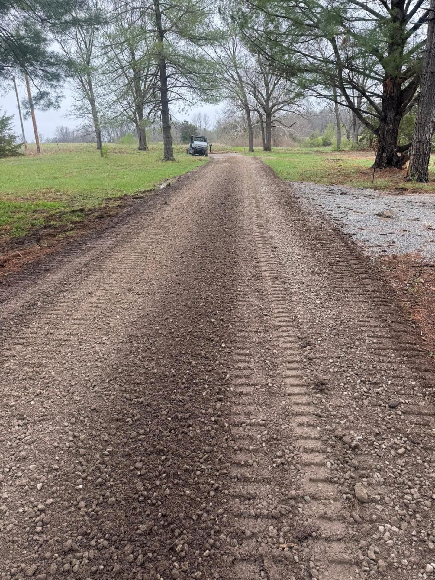 Muddy dirt road bordered by bare trees and wet grass under an overcast sky