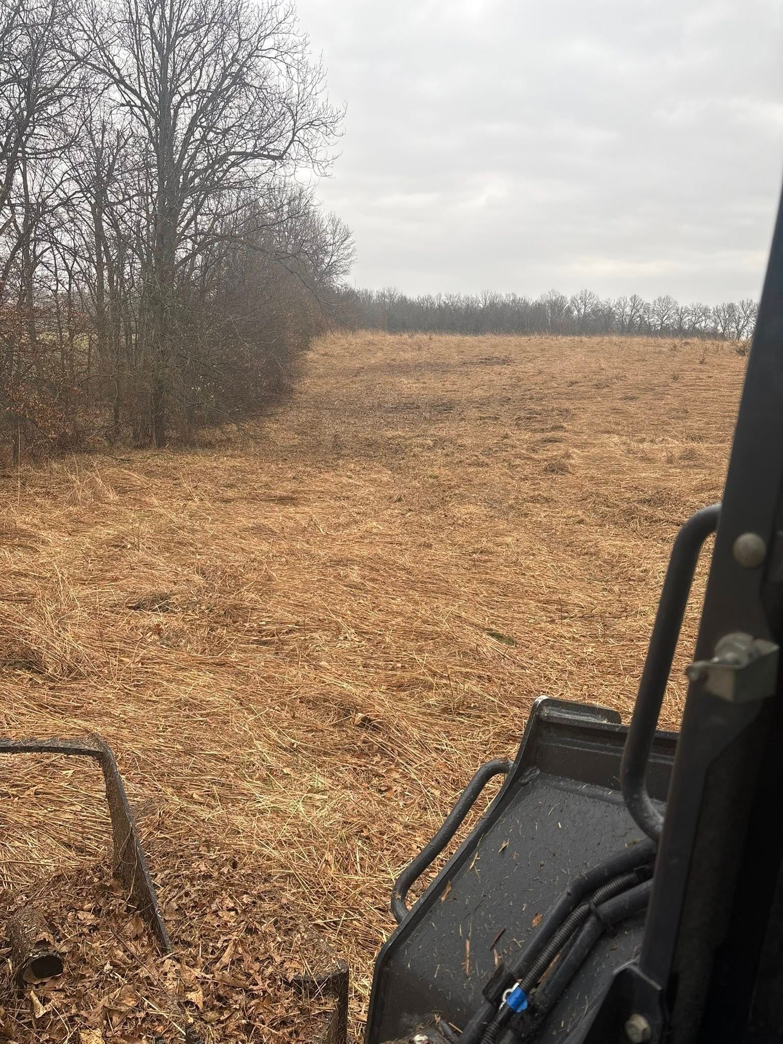 View from a vehicle over a harvested field with bare trees under a cloudy sky