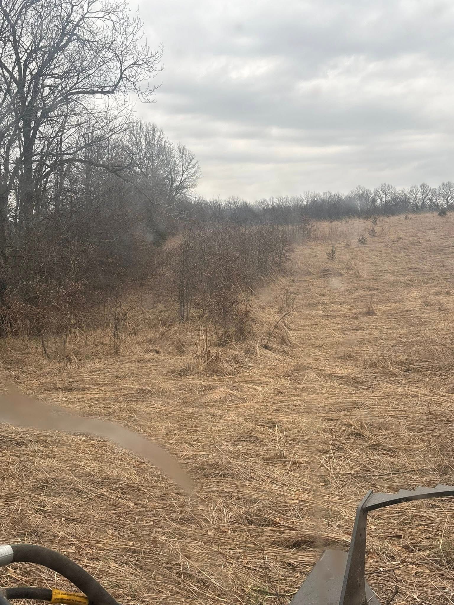 Leafless trees and dry grass along a trail under a cloudy sky, viewed from a bike path.