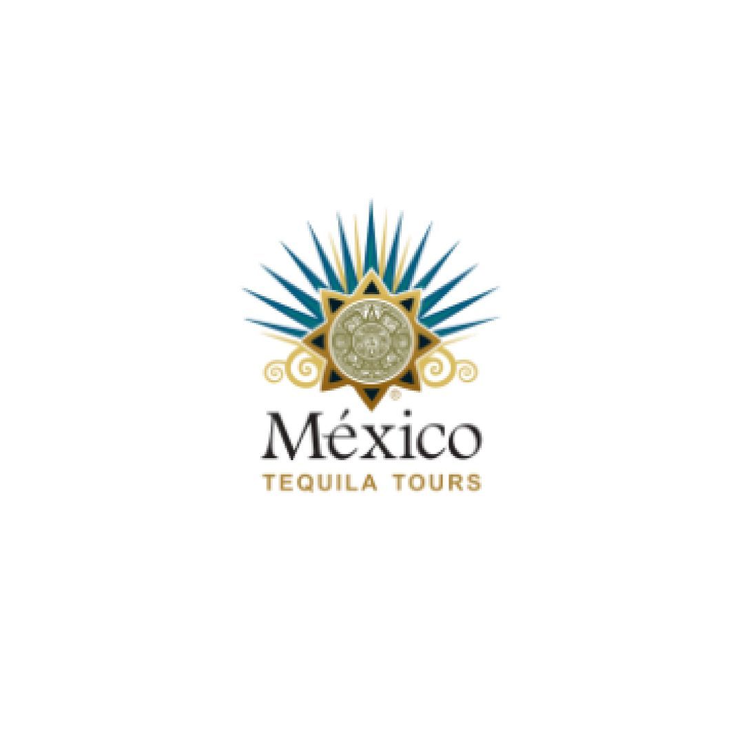 WORKSHOP INTELIGENCIA ARTIFICIAL TALLER MEXICO TEQUILA TOURS