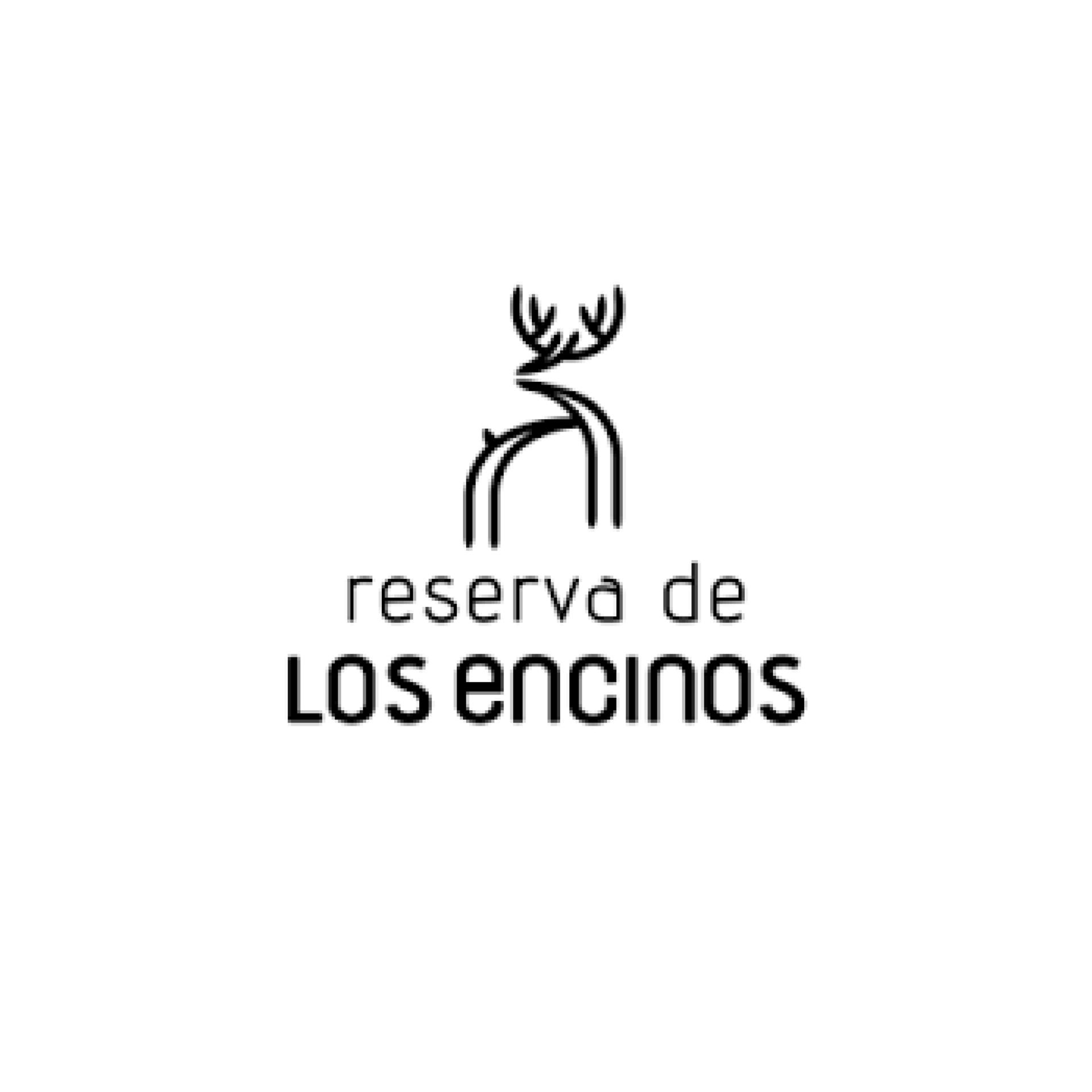 reserva encinos servicio google adwords