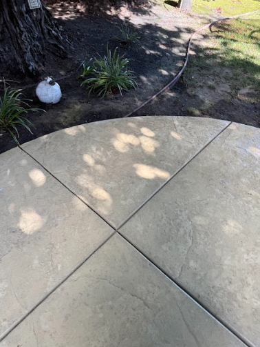 Circular concrete patio with cross-shaped grout lines. Shadows of foliage are cast on the patio's surface.