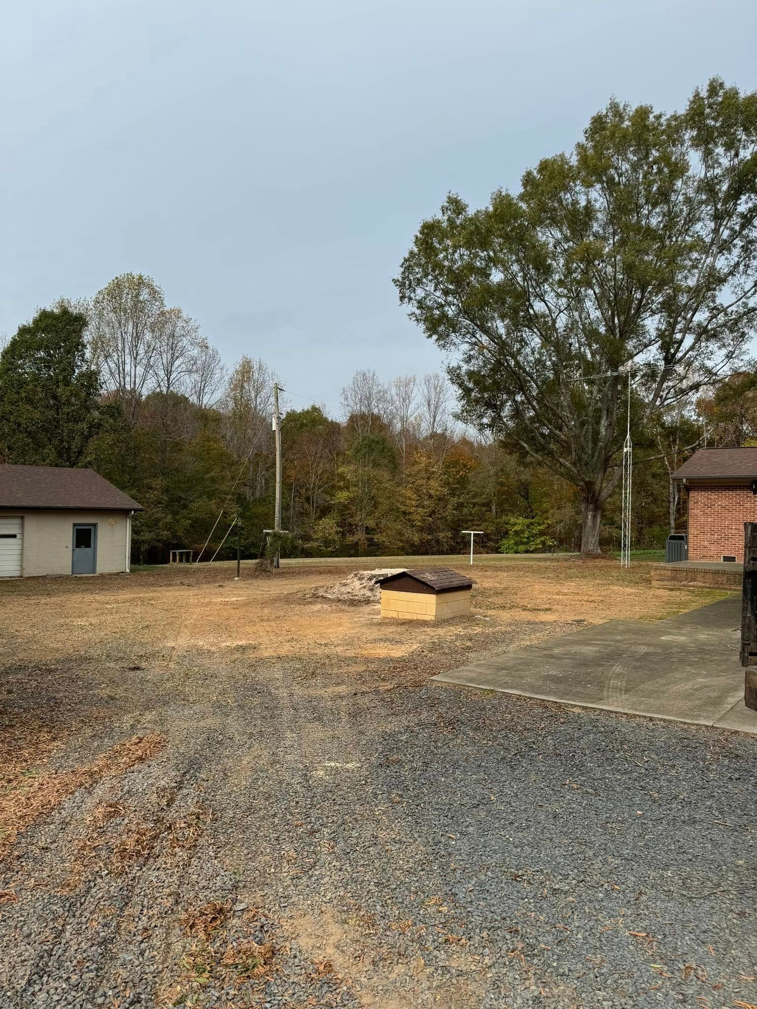 Gravel lot with two small buildings and a large tree, overcast sky.