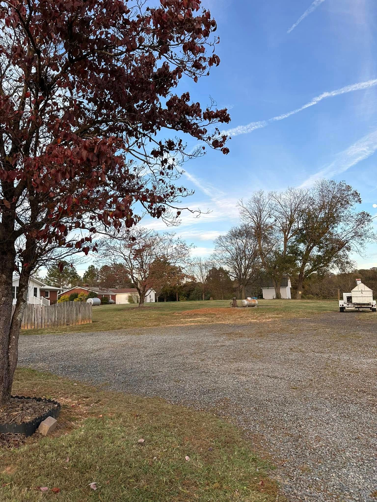 Gravel lot with a few small headstones and bare trees under a blue sky. Red-leaved tree on the left.