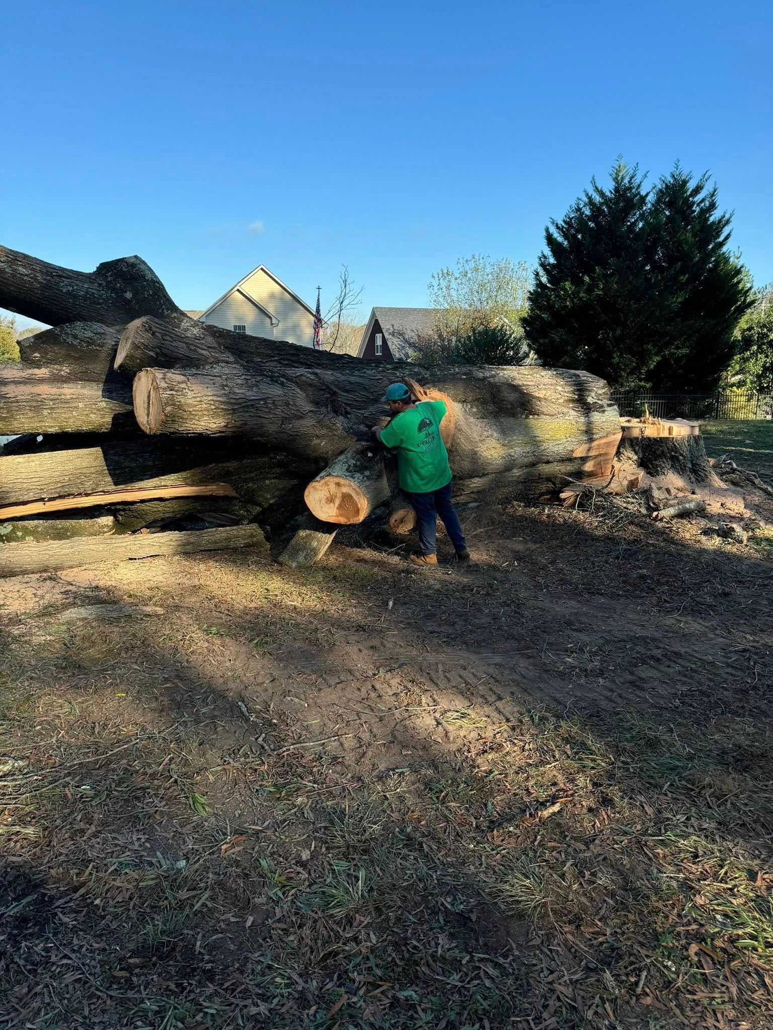 Person in green shirt working on large logs in a yard, under a blue sky.