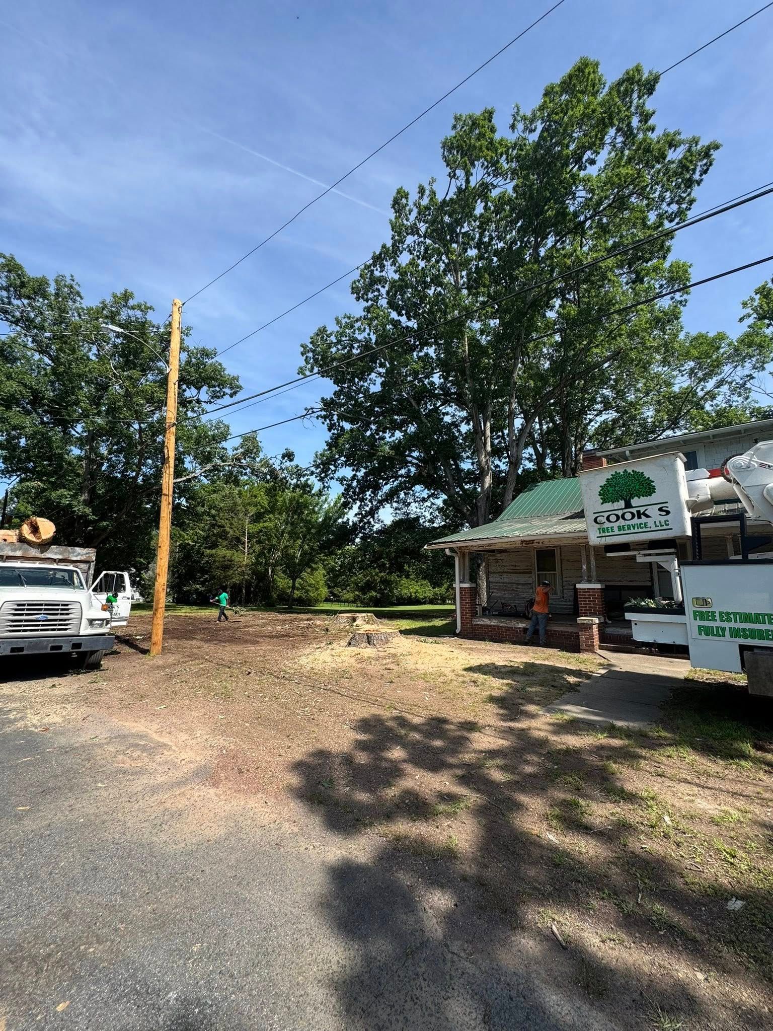 Crews working near a utility pole and small building with a tree service truck and equipment on a sunny day.