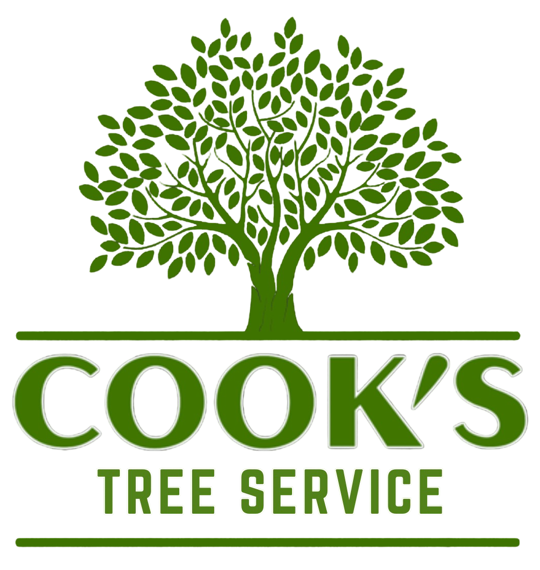 Green tree logo with the text "COOK'S TREE SERVICE" below.