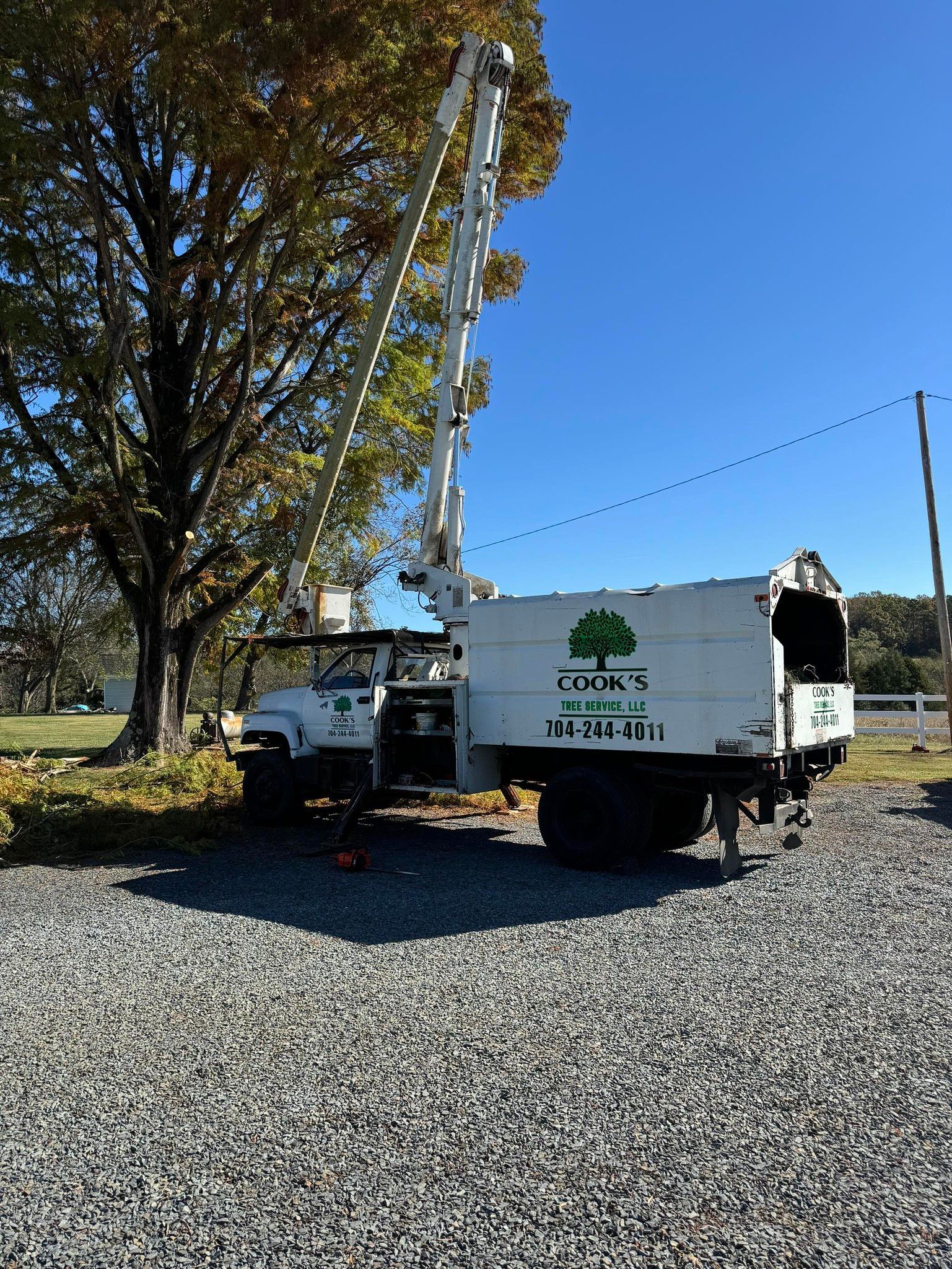 Tree service truck with extended boom trimming a tree on a gravel lot under a blue sky.