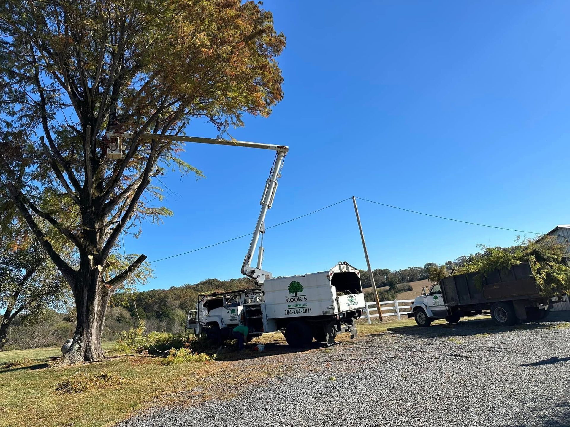 Tree trimming truck with extended arm reaching tree, truck with load of branches, sunny day.