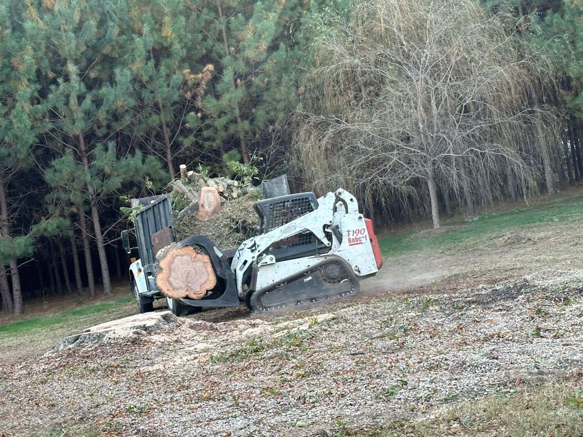 Skid steer with stump grinder removing a tree stump on a grassy hillside near a wooded area.