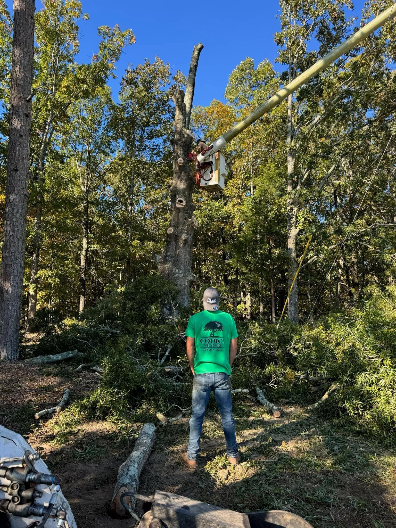Man watching tree removal with a chainsaw, standing in a wooded area with equipment and cut branches.