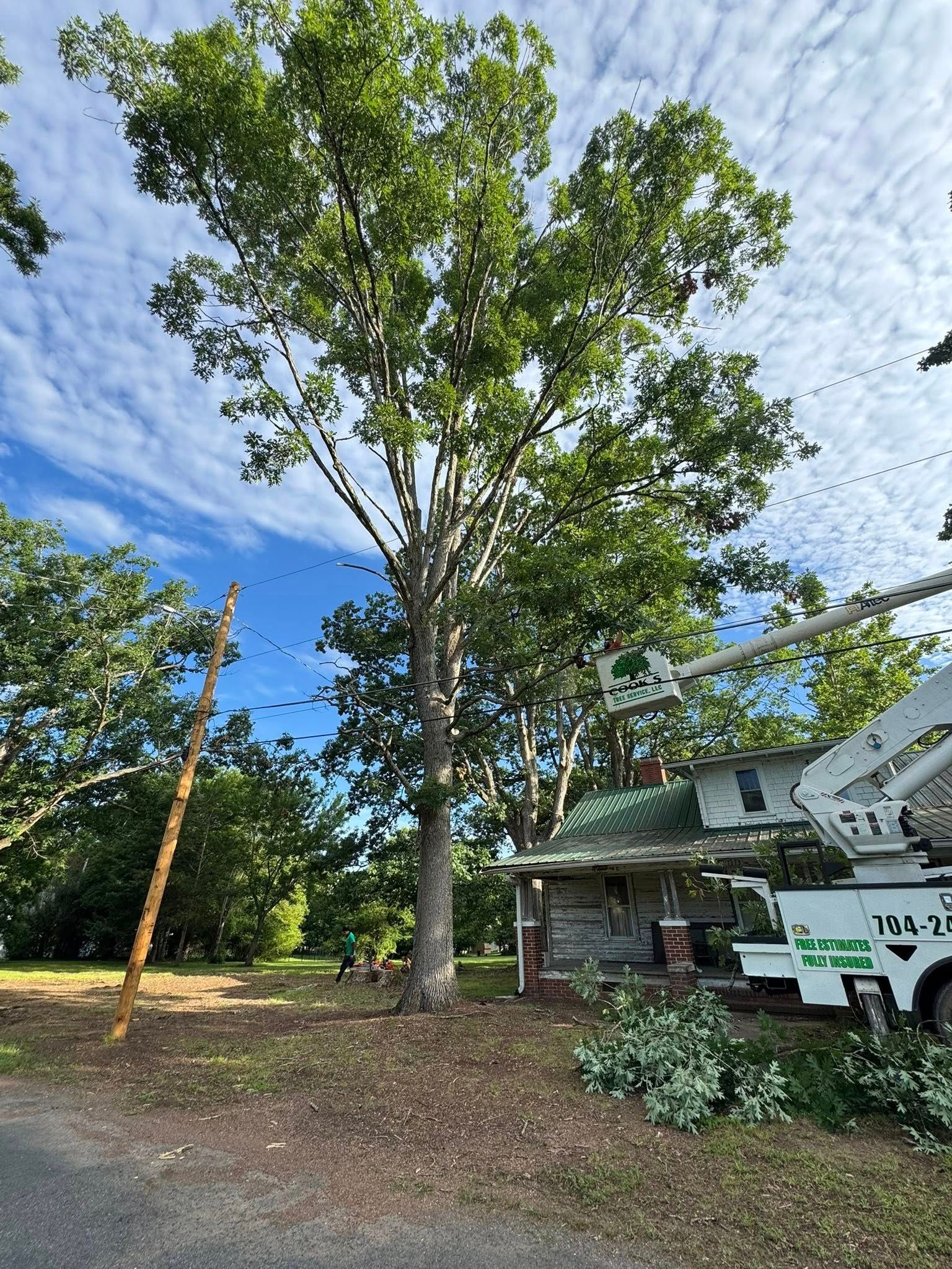 A tree being trimmed near a house by a tree service truck against a blue, cloudy sky.
