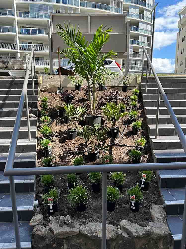 Stairway Greenery Beautifully Adorns Our Properties — Hallsmark Property Services