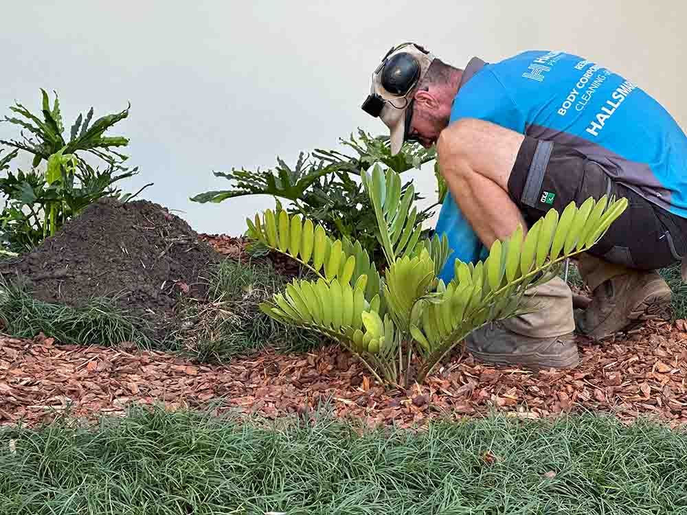 A Man Planting In A Serene Garden Setting — Hallsmark Property Services