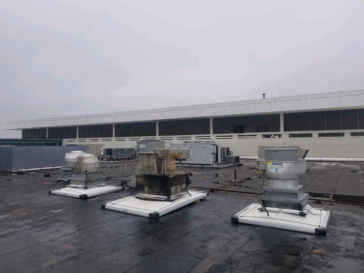 grease guards after