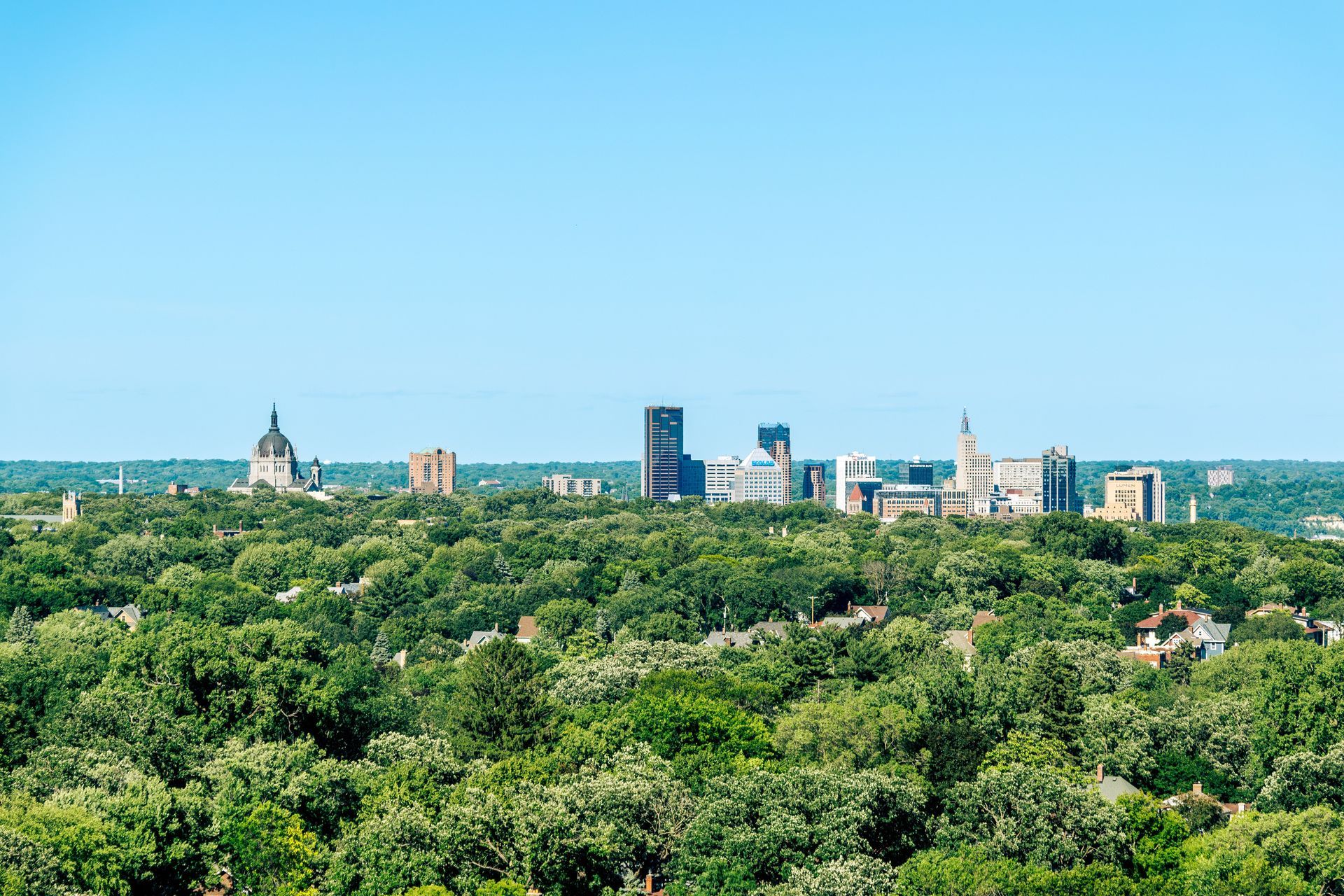 City skyline above a dense green tree canopy under a clear blue sky