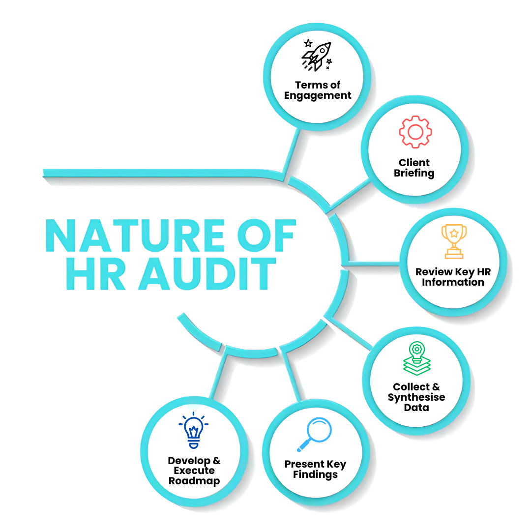 A diagram showing the nature of hr audit
