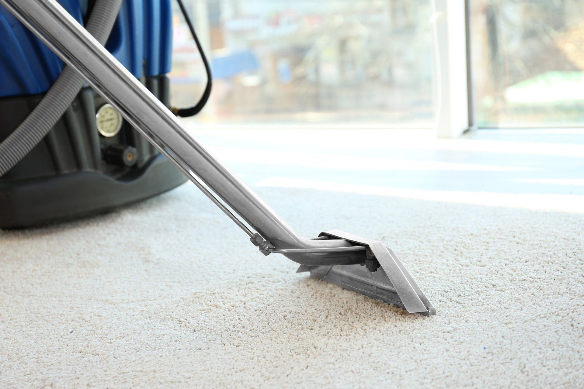 Pet Stain Removal in La Pine, OR | Pierson's Carpet Cleaning