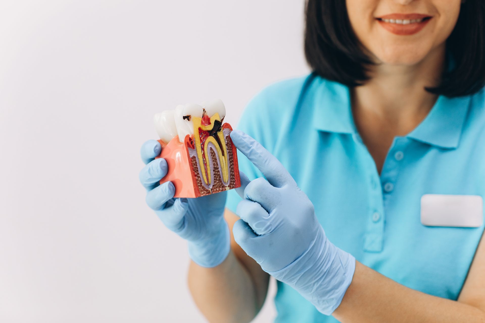 A dentist is holding a model of a tooth in her hands.
