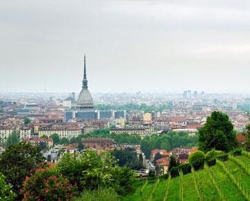 Una vista di una città da una collina con un vigneto in primo piano.