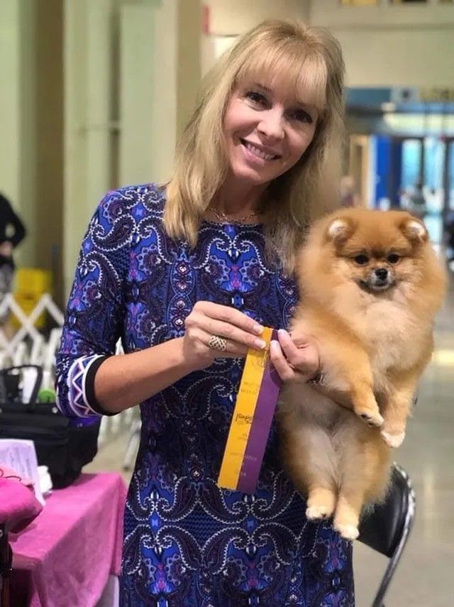 Female Pomeranian