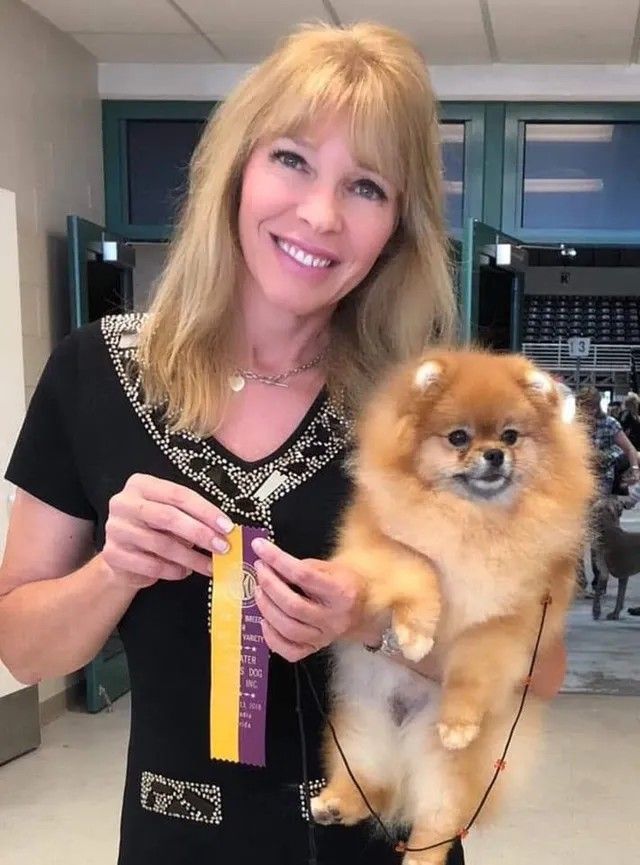 Female Pomeranian