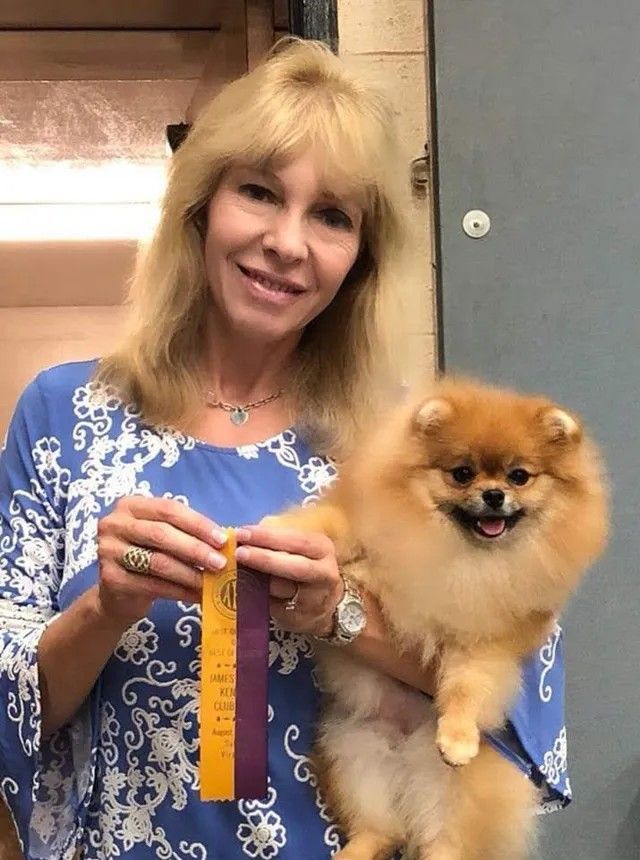 Female Pomeranian