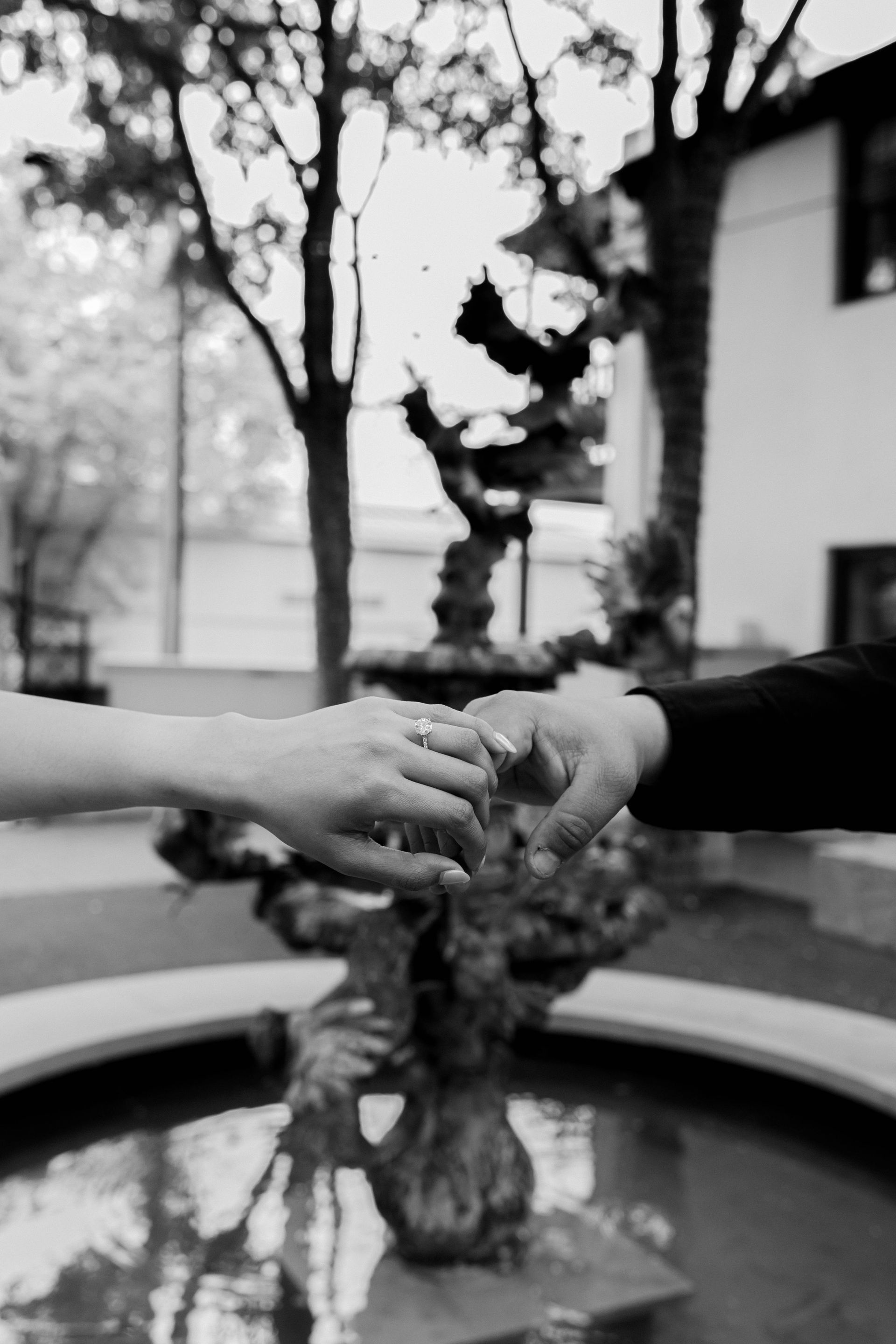 Two hands reaching toward each other above a fountain with a small tree sculpture in the center