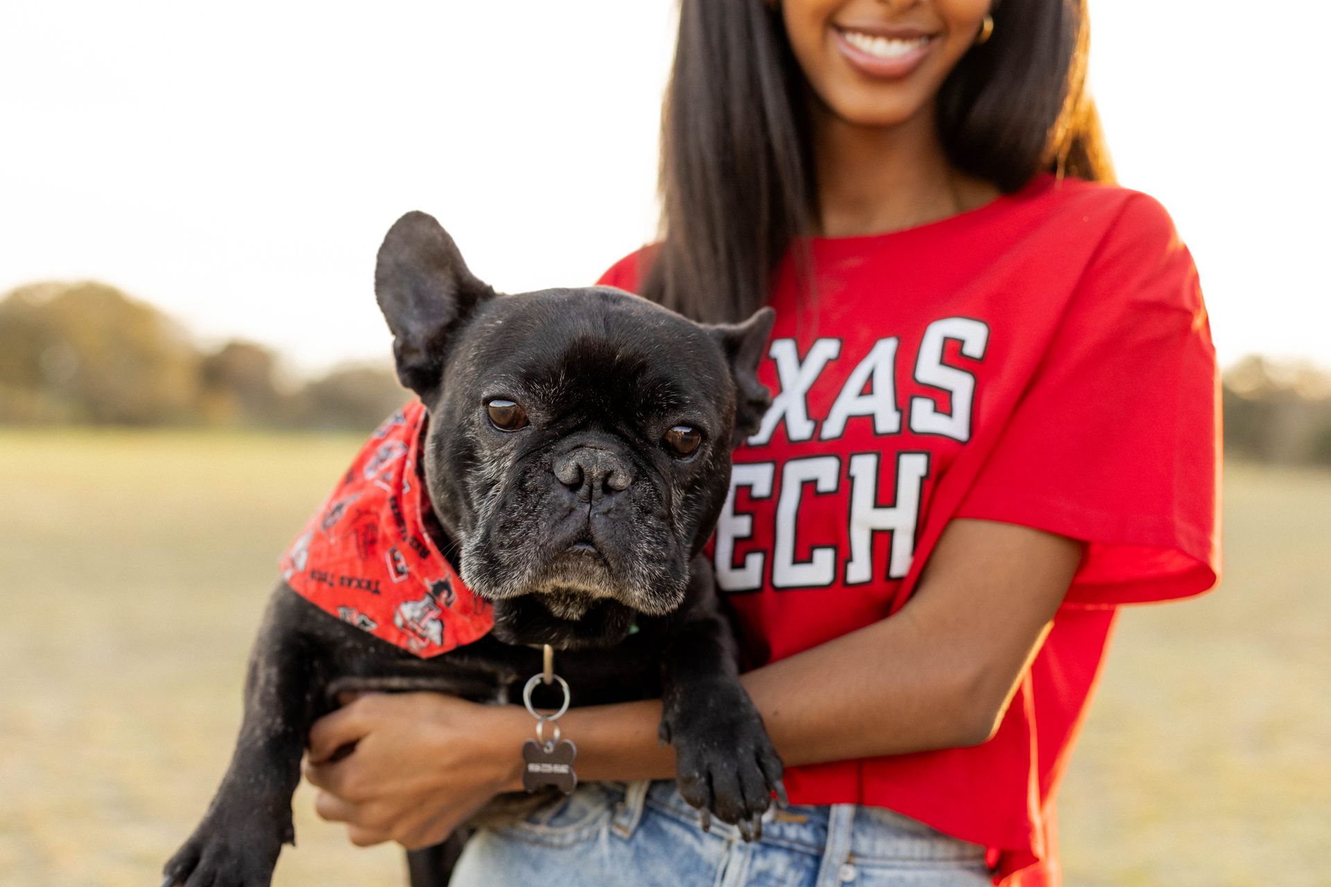 Person holding a black French bulldog in a red bandana and red T-shirt with “Texas Tech” text outdoors