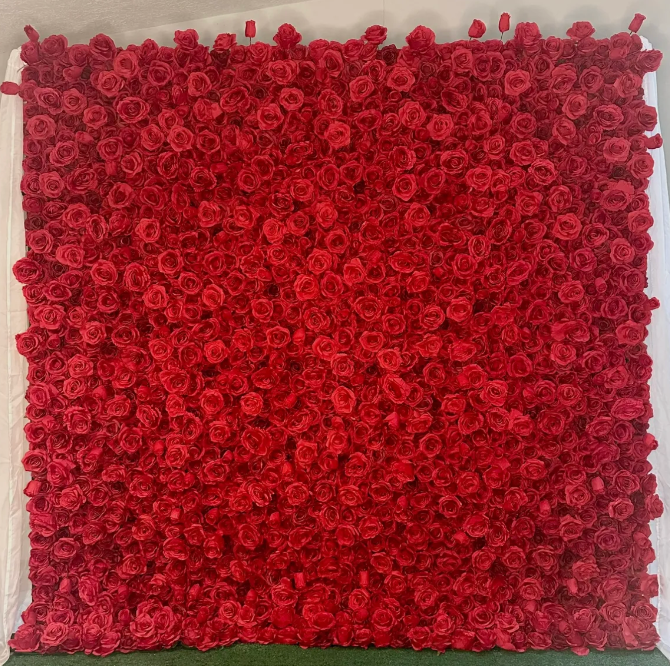 A square wall covered densely with red roses