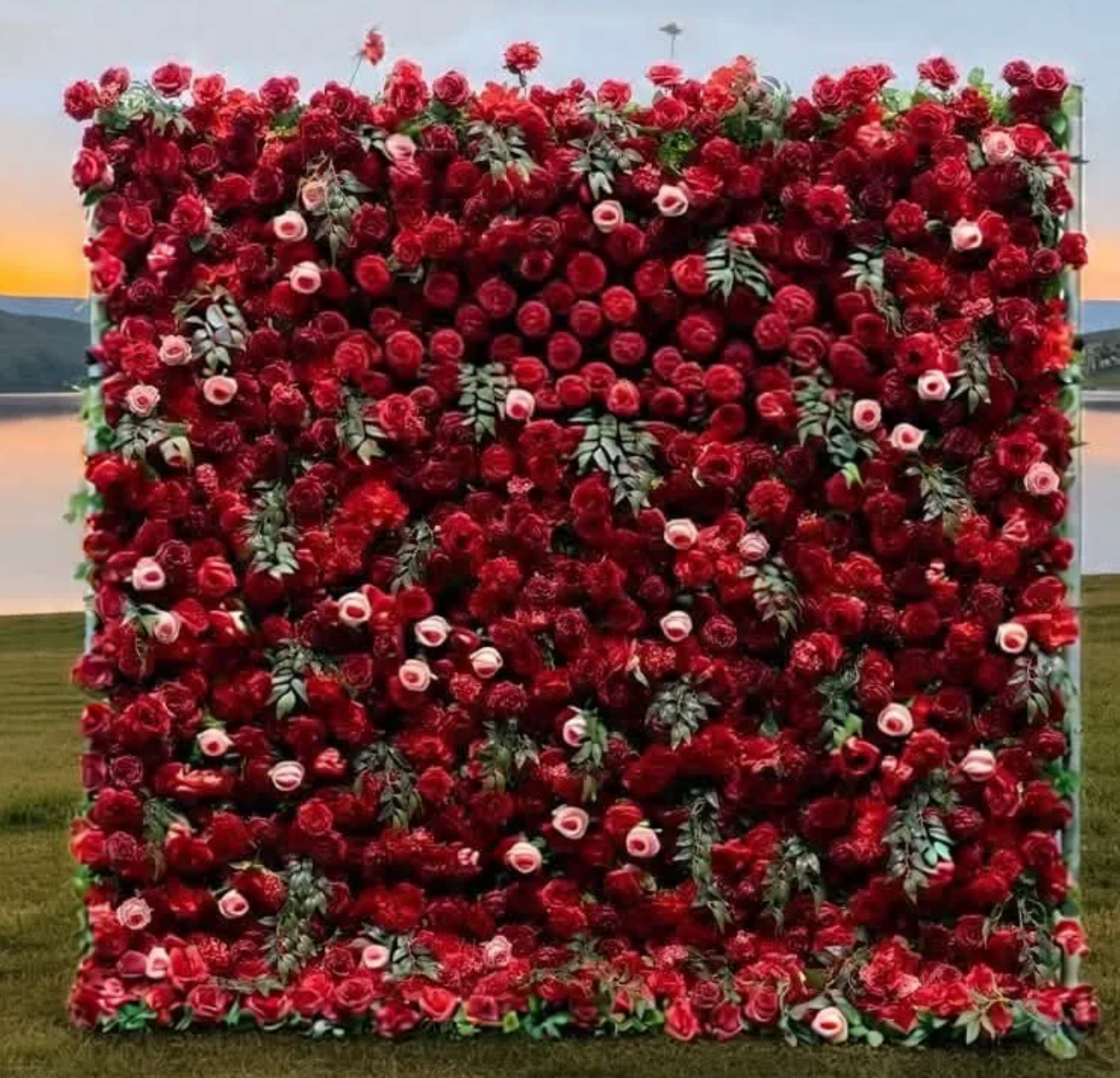 Square floral wall covered in red and white roses, forming a dense decorative display