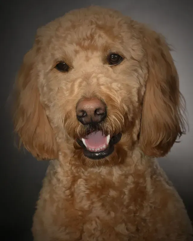 Oakley