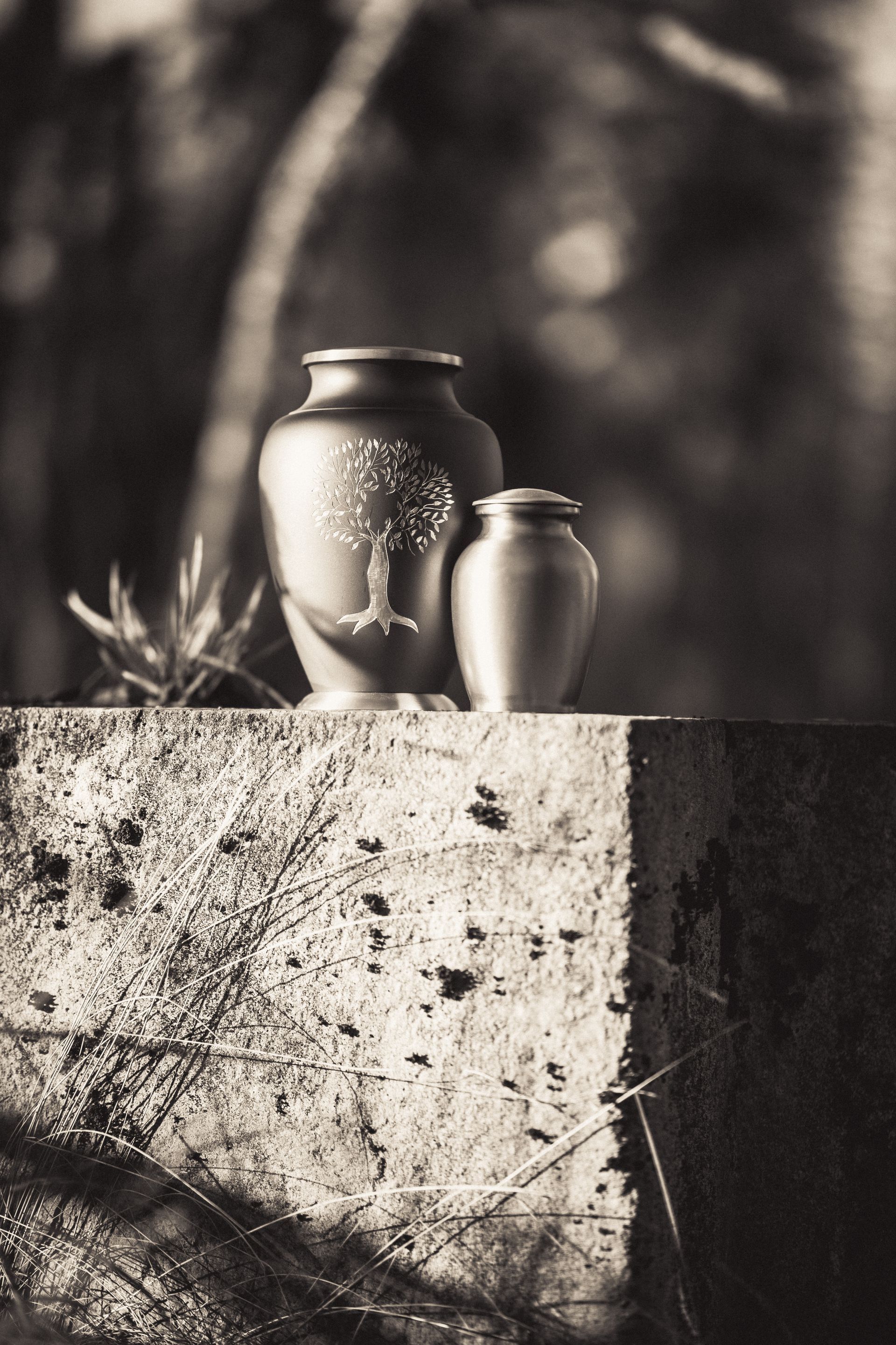 Cremations