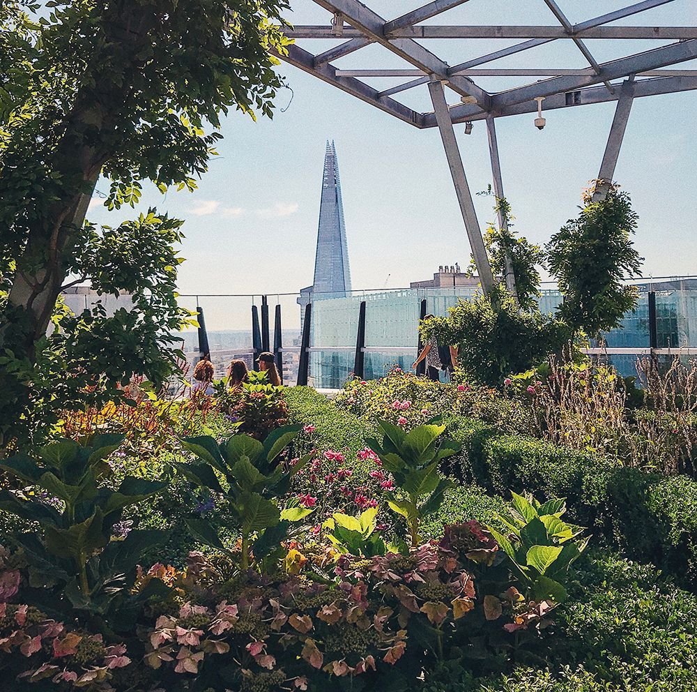 Rooftop garden with The Shard in the background. Lush plants, metal frame, blue sky.