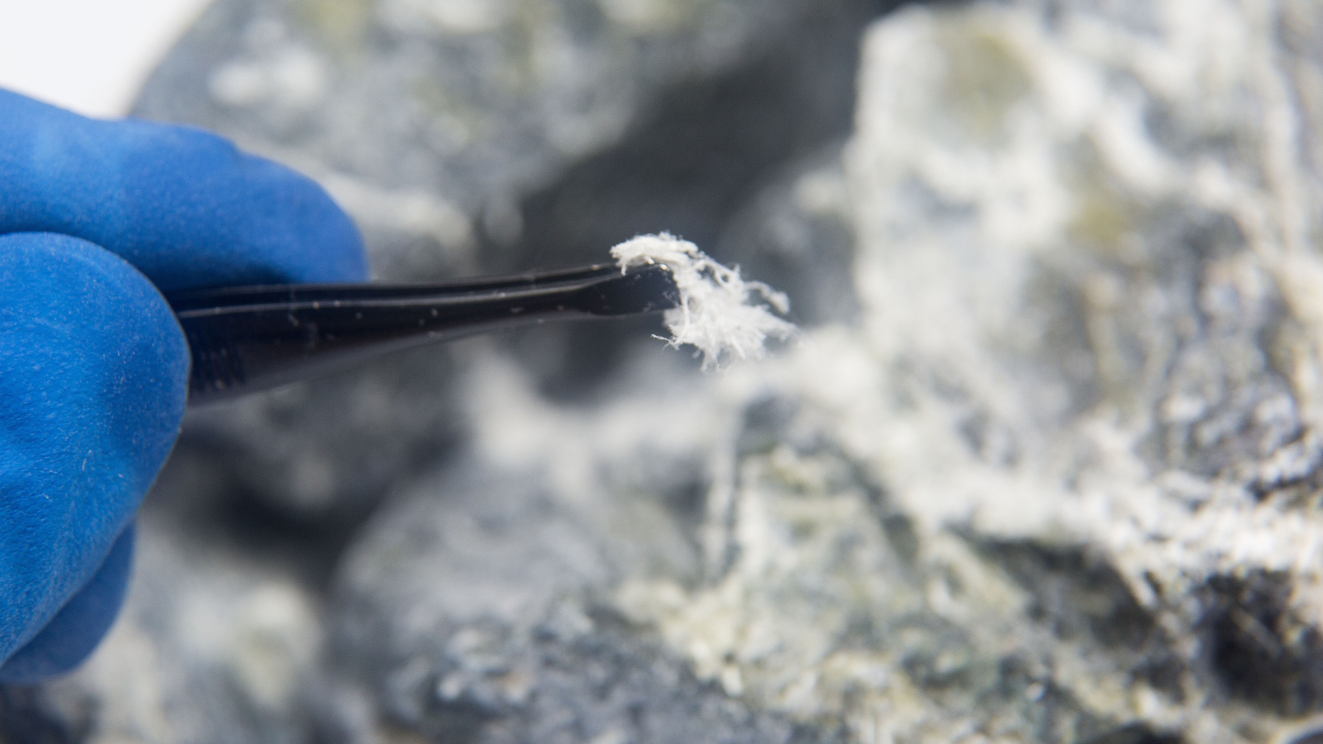 Asbestos Abatement