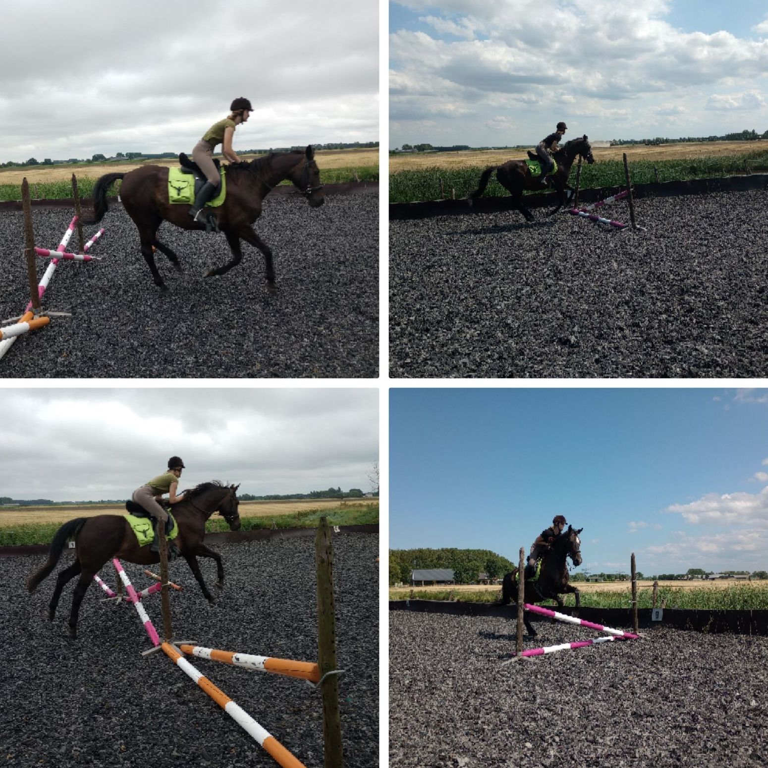 Energetic Horse paardrijlessen Energetic Horse paardrijlessen