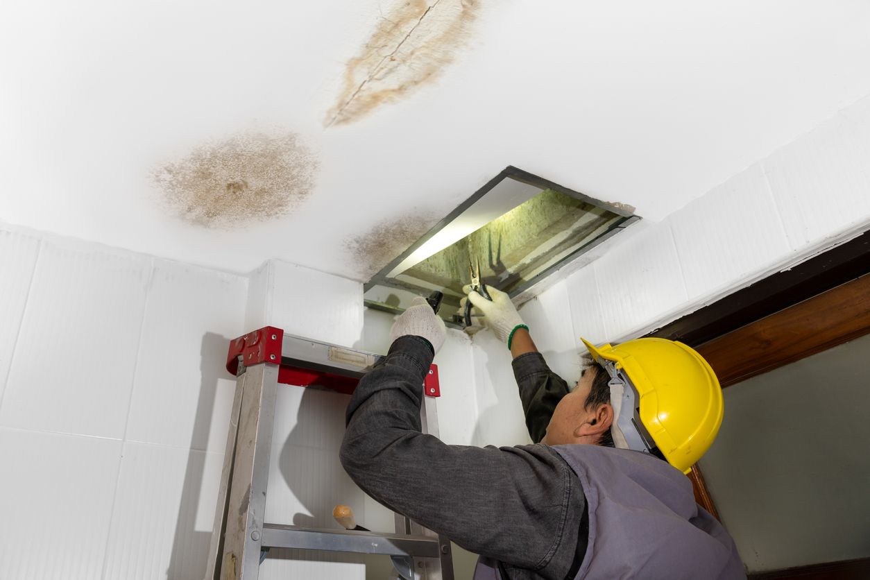 A man is standing on a ladder fixing a hole in the ceiling.