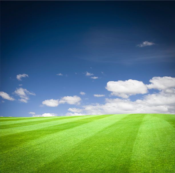 Limpieza en los campos agrícolas