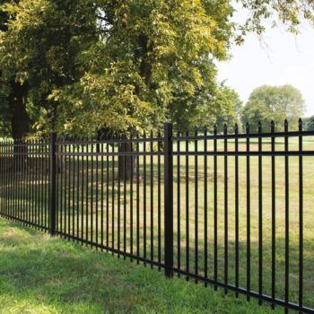 A black metal fence surrounds a grassy field with trees in the background.