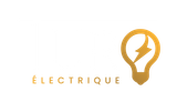 Turo Électrique LOGO